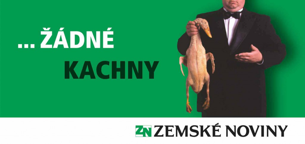 ZN_kachna